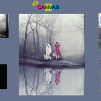 Portfolio Thumbnail 2