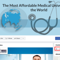 Facebook Page Likes Campaign