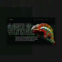 Portfolio Thumbnail 4