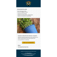 Email design
