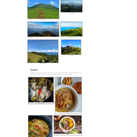 WordPress Management