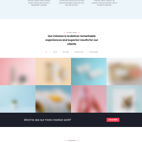 WordPress Website