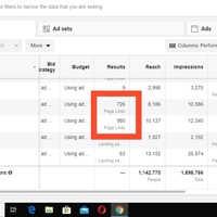 page like campaign for brand building