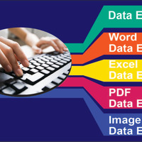 Data Entry Expert