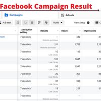 Campaign Result