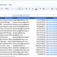Leads Generated using Apollo and Lusha