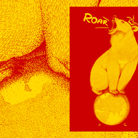 Portfolio Thumbnail 5