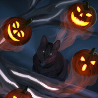 Portfolio Thumbnail 1