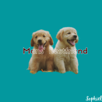 Portfolio Thumbnail 0