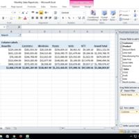 Microsoft Excel Pivot Table