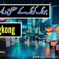 Portfolio Thumbnail 7