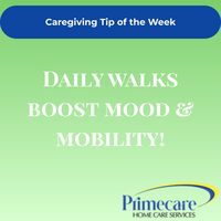 Portfolio Thumbnail 2