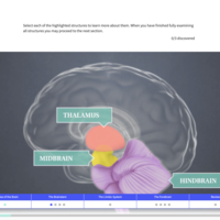 Psychology Textbook sup