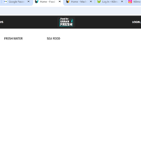 Ecommerce website -Added categories(work sample 1)