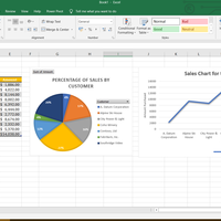 MS Excel