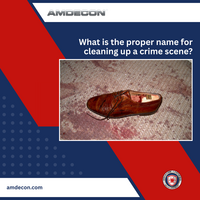 Portfolio Thumbnail 9