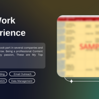 My Work Experience 