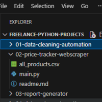 Folder View:  Scraper Project Folder