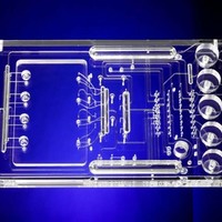 Fluidic manifold