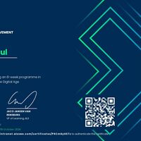 My  virtual assistant certificate