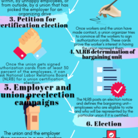 Sample Infographic using canva