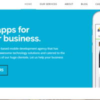Help in Social Media Marketing, web development