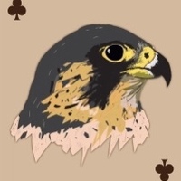 Playing Card Illustration