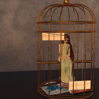 3d Render