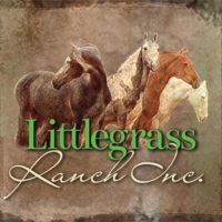Little Grass Ranch Logo