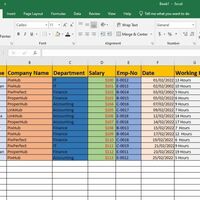 Data entry task
