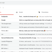 Email Management  - Starred and Marked as Important