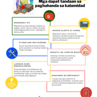 Infographics using canva