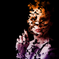 Portfolio Thumbnail 3