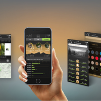 Application UI/UX design - IdentiFLY 