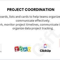 Project Management / Task Coordination 