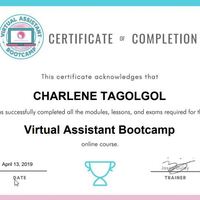 Virtual Assistant Training