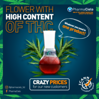 Portfolio Thumbnail 9