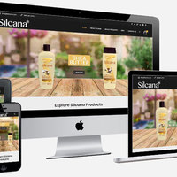 Custom WordPress Project - Design  Development