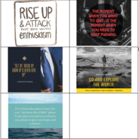 Facebook Management Posts