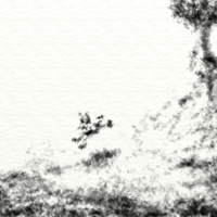 Digital Charcoal
