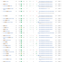 Keyword Ranking