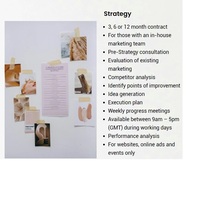 Marketing Strategy