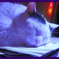 Portfolio Thumbnail 25