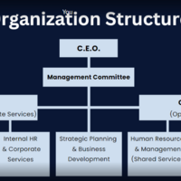 Portfolio Thumbnail 0