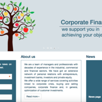 Website Translation for Italian firm, Capital Partners