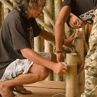 Portfolio Thumbnail 5