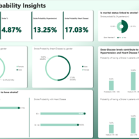 Stroke Probability Insights