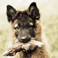 Portfolio Thumbnail 18