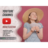 Youtube Channel Monetization