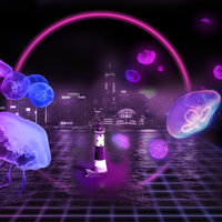 Portfolio Thumbnail 9
